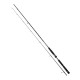 Daiwa BG Seabass Rod - ALL VARIETIES 